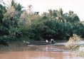 Mekong Delta