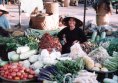 Markt